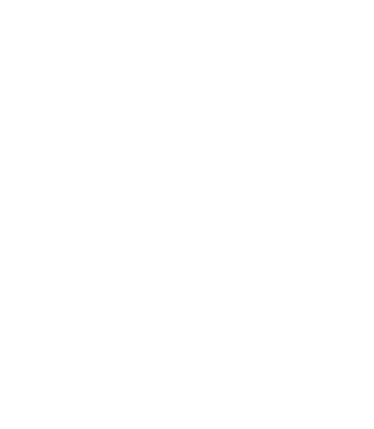 Cosmos Craftwork